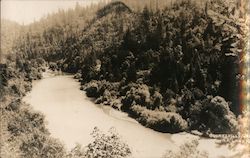 Scenic River View Postcard