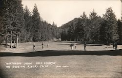 "Northwood Lodge" Golf Course Russian River, CA Lark Photo Postcard Postcard Postcard