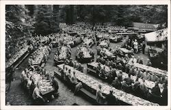 Bohemian Grove Dinner Postcard
