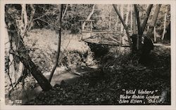 "Wild Waters" Wake Robin Lodge Postcard