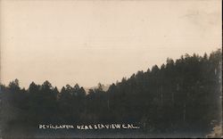 Devil Canyon, Near Seaview 1907 Postcard