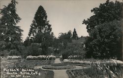Burbank Garden Postcard