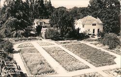 Luther Burbank Gardens Postcard