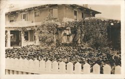 Luther Burbank House Postcard