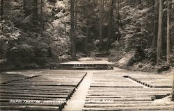 Amphi Theatre Armstrong Grove State Park Postcard