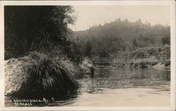 Russian River Terrace Postcard