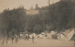 Boy Scout Camp Postcard