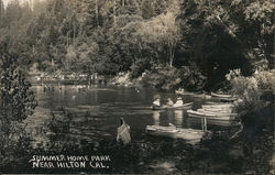 Summer Home Park Postcard
