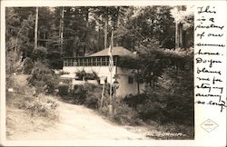 Picture of Summer Home Camp Meeker, CA Braun Photo Postcard Postcard Postcard