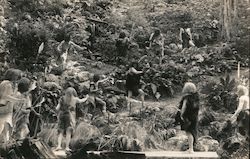 Play at Bohemian Grove Postcard