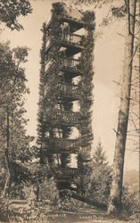 Living Tower Camp Meeker, CA Lowry Photo Postcard Postcard Postcard