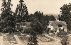 Burbank Garden Postcard