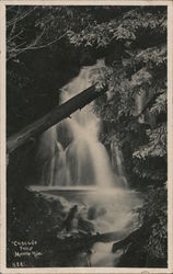 "Cascade Falls" Monte Rio, CA Wm McClearie Postcard Postcard Postcard