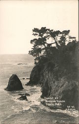 Coast at Russian Gulch State Park Postcard