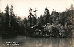 Russian River Monte Rio, CA Postcard Postcard Postcard
