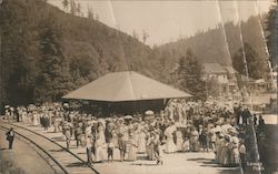Crowd Gathered at the Train Depot Postcard