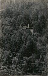 Eagle's Nest On The Russian River Postcard