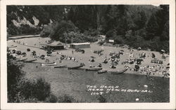 The Beach Near Healdsburg Postcard