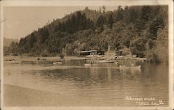 Johnson's Beach Postcard