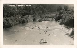 Forest Hills Beach Postcard