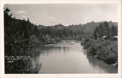 Russian River View Postcard