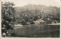 View of Russian River Postcard