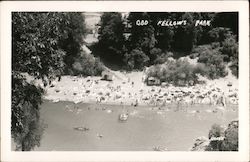 Odd Fellows Park Postcard