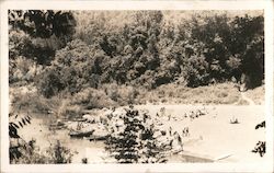 A picture of people leaving canoes on a river Berkeley, CA Hasek Photo Postcard Postcard Postcard