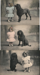Set of 3: Girl with Large Black Dog Postcard