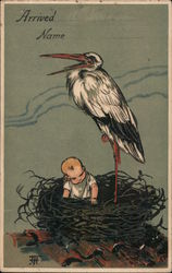 Arrived, Name card. Stork with baby in a nest. Storks Postcard Postcard Postcard