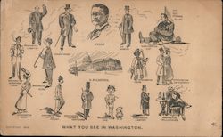 What You See In Washington Theodore Roosevelt Postcard Postcard Postcard