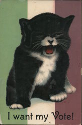 Cat: I Want My Vote! Women's Suffrage Postcard Postcard Postcard