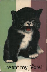 Cat: I Want My Vote! Postcard