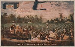 Red Cross Cotton, From Start to Finish Postcard