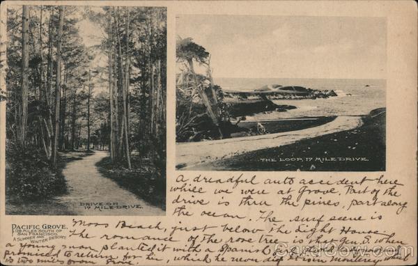 Pacific Grove 17 mile drive and the loop. California