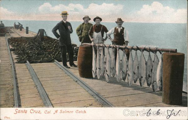 A Salmon Catch Santa Cruz California