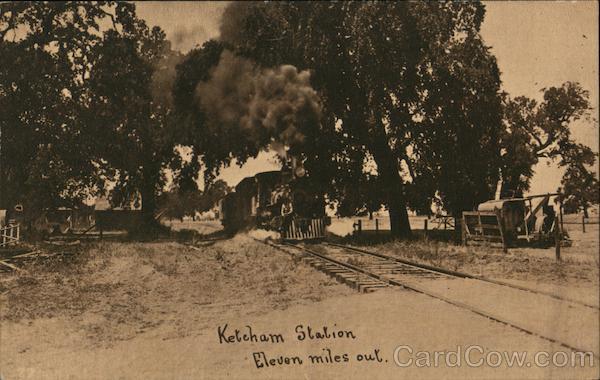 Ketcham Station. Eleven miles out. Steam Train. Advertisement to buy stock in railroad company. San Francisco