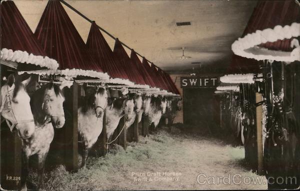 Swift & Company - Prize draft horses in stable. Advertising