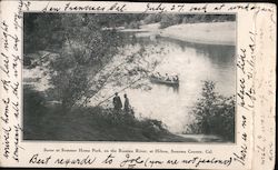 Scene at Summer Home Park on the Russian River Postcard