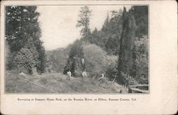 Surveying at Summer Home Park, on the Russian River Postcard
