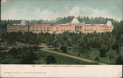 Museum, Stanford University Postcard