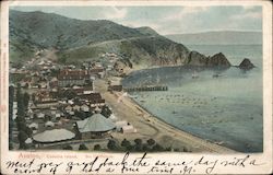 Avalon Postcard