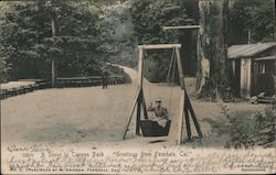 A Scene in Canyon Park - Greetings from Ferndale, Cal. California Postcard Postcard Postcard