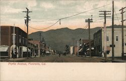 Looking Along Myrtle Avenue Postcard