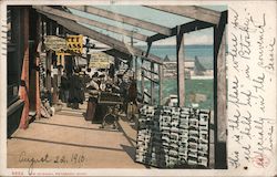 The Midway, Petoskey, Mich., 1910 Postcard