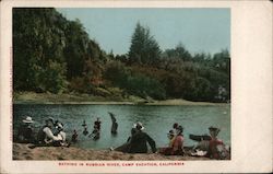 Bathing in the Russian River, Camp Vacation California Postcard Postcard Postcard