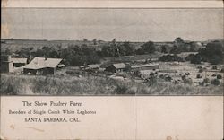 The Show Poultry Farm Postcard