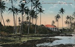 Kainehi Near Cocoanut Island Postcard