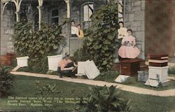 The Limited Space of a City Lot is Ample for the Gentle Italian Bees from "The Home of the Honey Bees" Medina, OH Postcard Postc Postcard