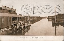 Creek Scene Petaluma, CA Postcard Postcard Postcard